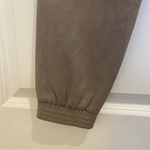 SIZE 26 | Zara Gray Velvet Jogger - Picture 2 of 4